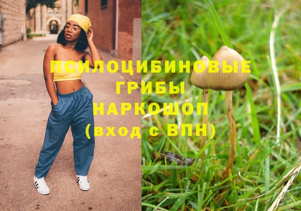 крисы Кинешма