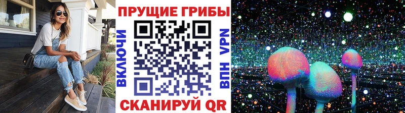 Псилоцибиновые грибы Psilocybine cubensis  Купить  Северодвинск 